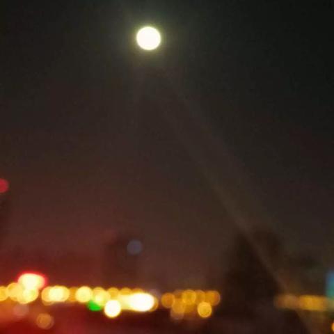 虫虫大作战2游戏：挑战无尽的虫虫对战，体验刺激快节奏的动作游戏乐趣